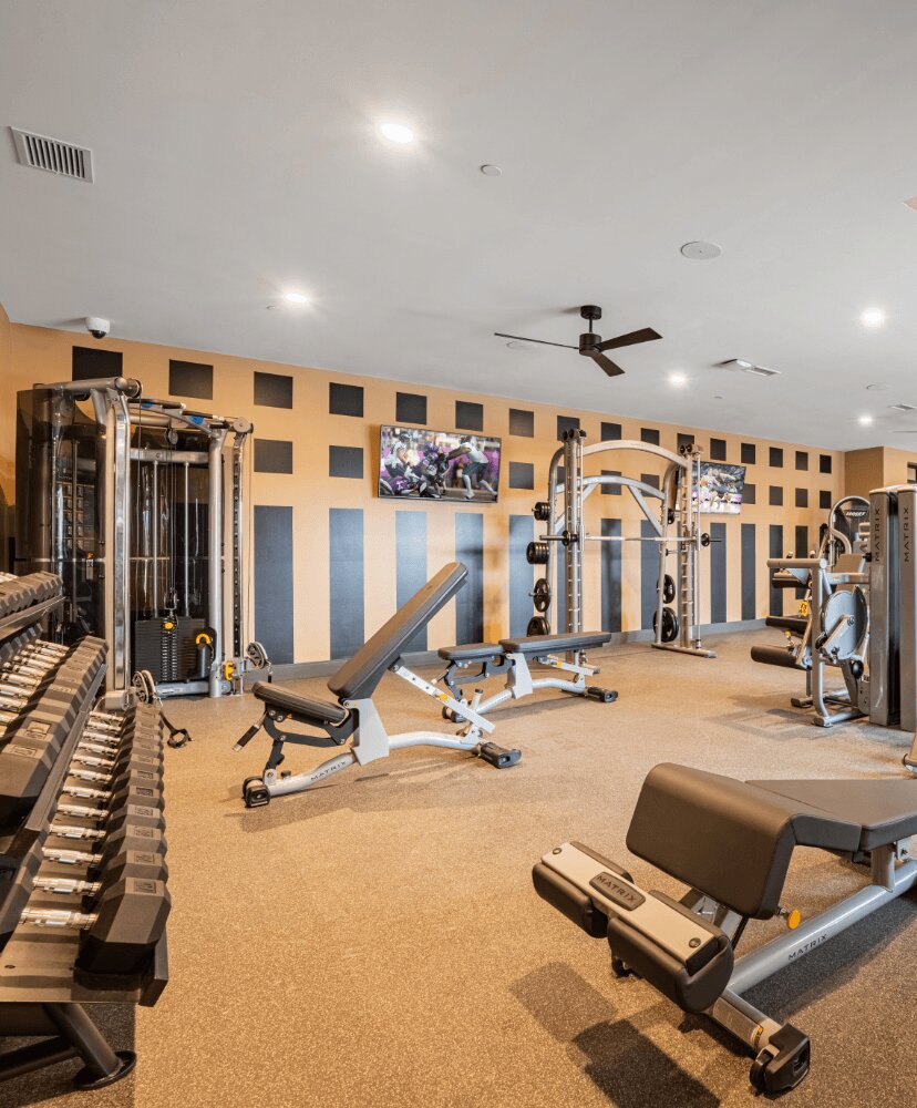 fitness room with weights and equipment.